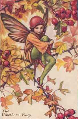 Hawthorn Fairy by Cicely Mary Barker