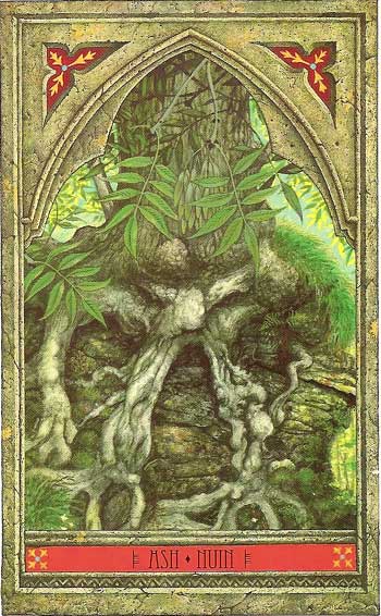 The Green Man Tree Oracle