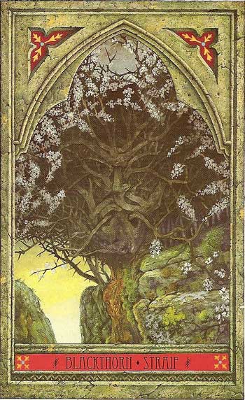 The Green Man Tree Oracle by John Matthews & Will Worthington