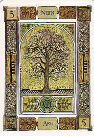 The Celtic Tree Oracle by Liz and Colin Murray