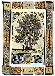 THE CELTIC TREE ORACLE