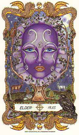 The Faces of WomanSpirit A Celtic Oracle of Avalon by Katherine Torress PHD