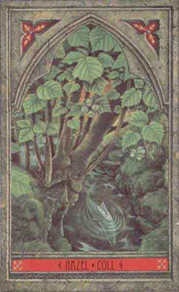 celtic tree oracle