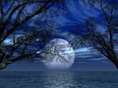 FullMoon.jpg Full Moon image by mav31622