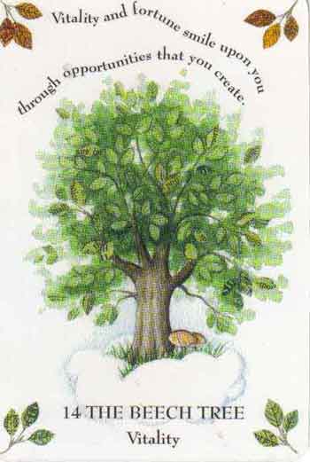 Tree Magick by Gillian Kemp