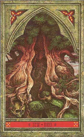 The Green Man Tree Oracle