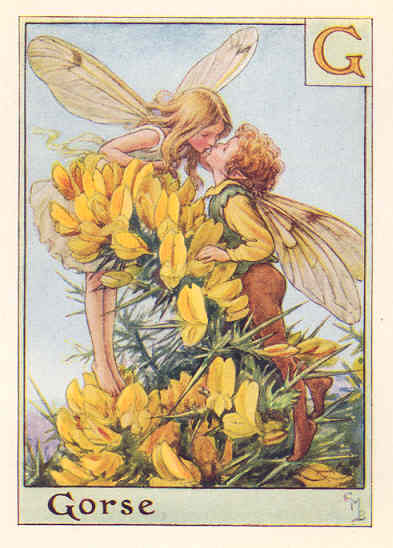 Gorse Fairy by Cicely Mary Barker