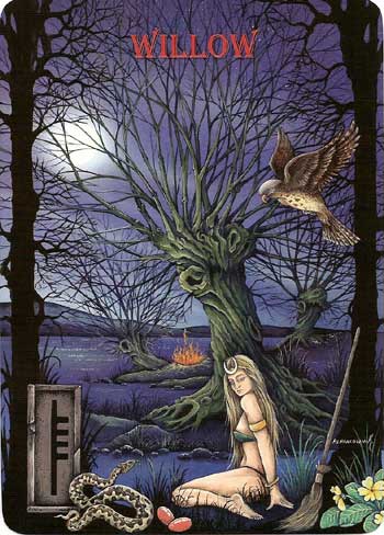 Ogham The Celtic Oracle Willow