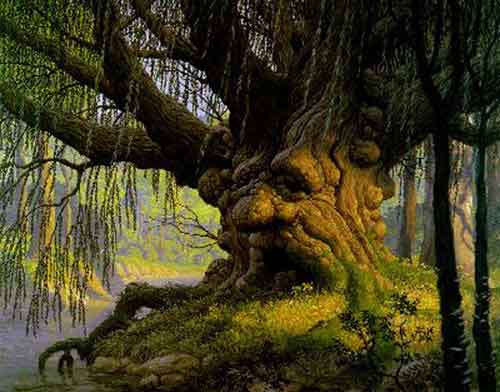 Willow tree symbolism and significance - Better Place Forests